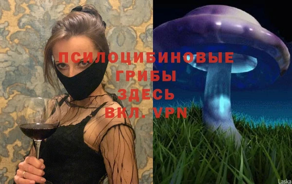 PSILOCYBIN Горнозаводск