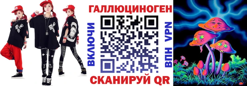 Псилоцибиновые грибы Cubensis  Кедровый 